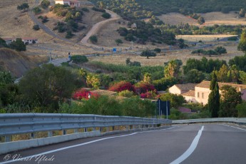 Road in Sardinia